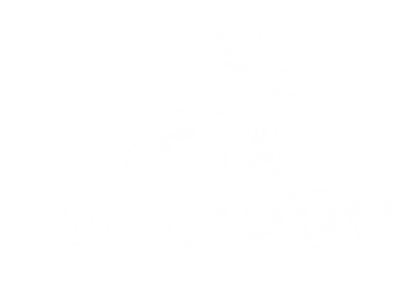 Arena360